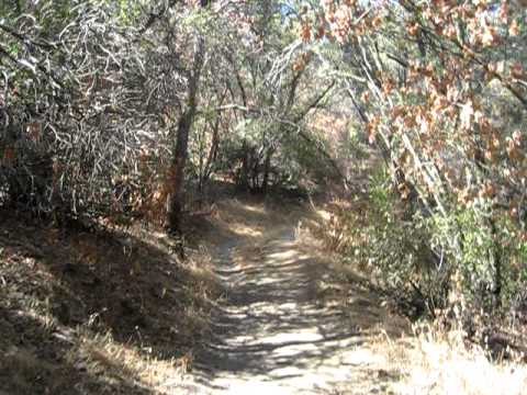 *Pioneer Trail Vid*