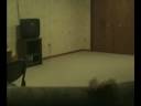 Hunting in the basement Hunting in the basement