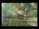 Shaolin wushu