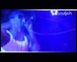 OLIVIA (G-UNIT) Germany Tour 2007 - by Souljah Entertainment