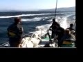 Volvo 70 Wake Boarding