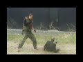 Street Fighting Street Fighting