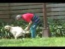 PooTrap - Environmental Friendly Animal Excrement Collector