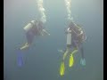 diving with bruno & anais. an encounter with the anemonefish, blennies, cods, etc. a film by philip habacon, padi msdt 479226.