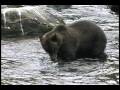 Voices from the Tongass&mdash;A Call to Action