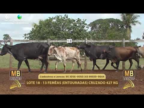 523� LEIL�O VIRTUAL MB LEIL�ES