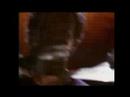 Powderfinger daf