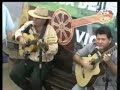 VIOLEIROS DA AMAZONIA - SUSPIRO DA VIÚVA VIOLEIROS DA AMAZONIA - SUSPIRO DA VIÚVA