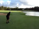 dolphin and golfin part 2 of 2 dolphin and golfin part 2 of 2