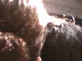 Infierno año nvo 2007 2