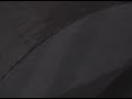 Dan dies.