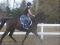 Me and Wanda over Cross Country Jump!!!
