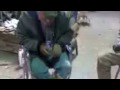 Deer Camp Laugh