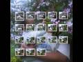 Colagens