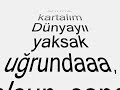 yeni beste sana de?er kartal?m