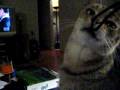 videos de MVI_0762.AVI