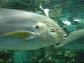 Teradomari Aquarium (Nagaoka, Niigata)