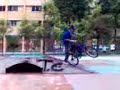 hoffman twss