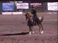 TAEZ Dressage in the Wine Country