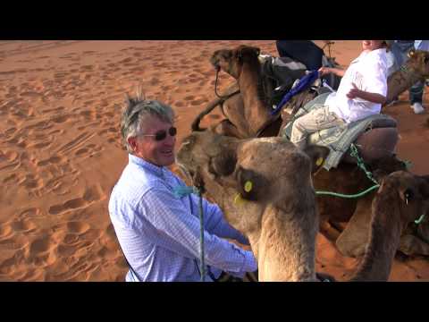 The Moroccan Sahara