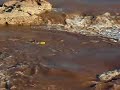 WWF swim