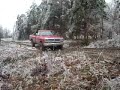 87\