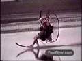 Paramotor Water Skiing - FootFlyer.com