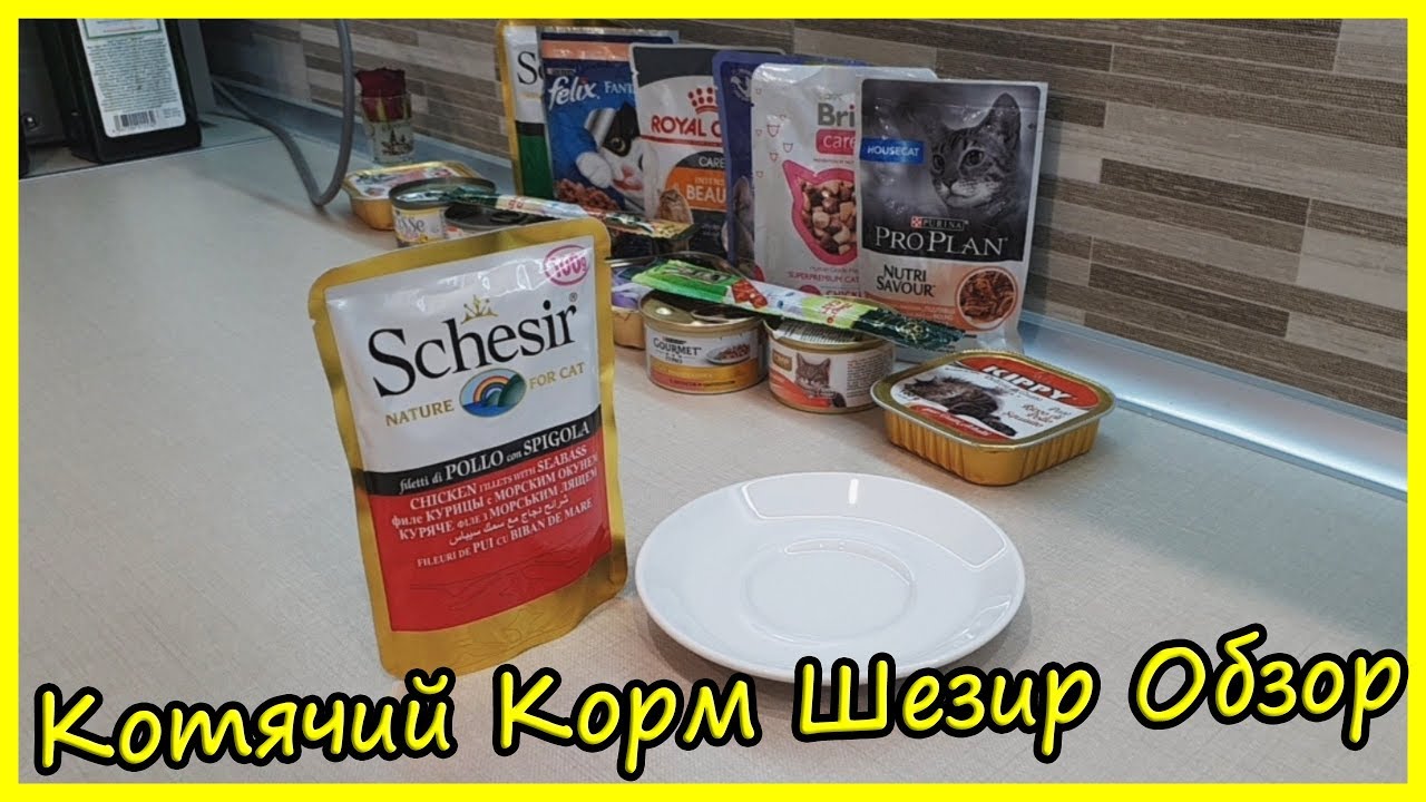 Влажный Котячий Корм Schesir Обзор. Блог Кота Альфа. Обзор Влажных Кормов для Кошек Шезир