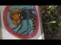 Beware of Suzumebachi Sign - Asian Giant Hornets in Japan