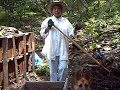 Problemas con mi Composta: Preguntas y Respuestas Problemas con mi Composta: Preguntas y Respuestas