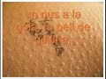 poesia visual \"WC\"