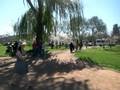 Canberra Fountains