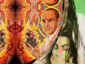 about acid madness