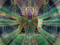 about acid madness