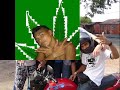 VIDIOS GsN