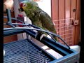 El baño de petri