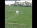 RMES rest zorb RMES rest zorb