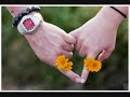 Hien nha tuyet roi.wmv