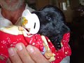Puppies abandoned, Chiots abandonn�s mais sauv�s.