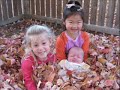 Gotcha-Day-Five-Year