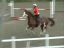 Maja för M.Bäckström 17 juli 2008
