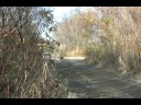 WRC JAPAN2008 ????? WRC JAPAN2008 ?????