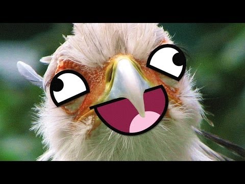 I'M A BIRDIE (Garry's Mod Prop Hunt)