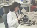 Bloodborne Pathogens in Healthcare Facilities Bloodborne Pathogens in Healthcare Facilities