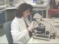 Bloodborne Pathogens in Healthcare Facilities