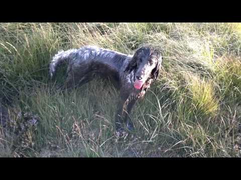 how to treat lm grass