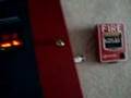 Fire-Lite BG-12L test