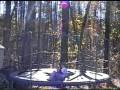 videos de kcw web2.wmv