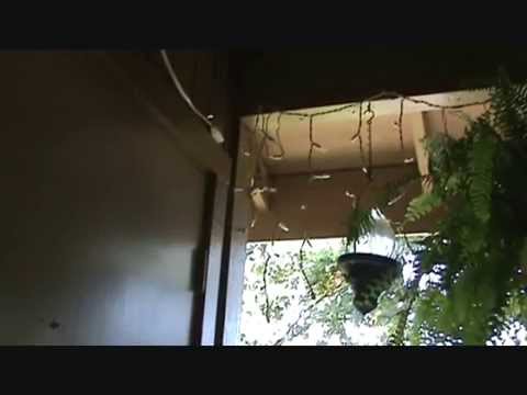 how to fix fairy lights