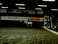 dressage show dressage show